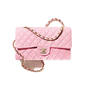 Luxury handbag